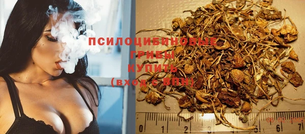 не бодяженный Аркадак