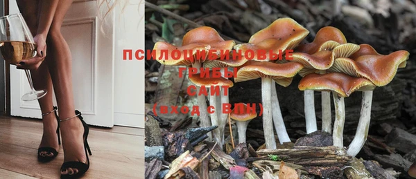 не бодяженный Аркадак