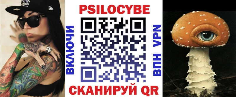 Галлюциногенные грибы Psilocybe Новодвинск