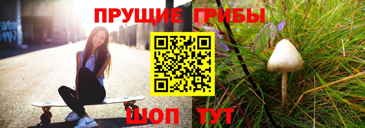 Галлюциногенные грибы MAGIC MUSHROOMS Новодвинск