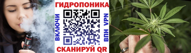 mega ONION Новодвинск Конопля White Widow